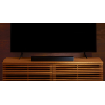 Bose TV Speaker